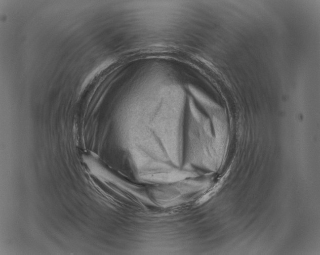 X0000068821402200605261539