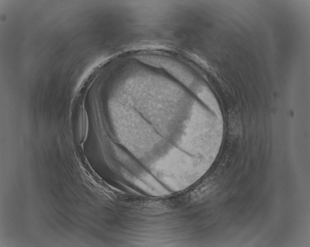 X0000068821408200605261539