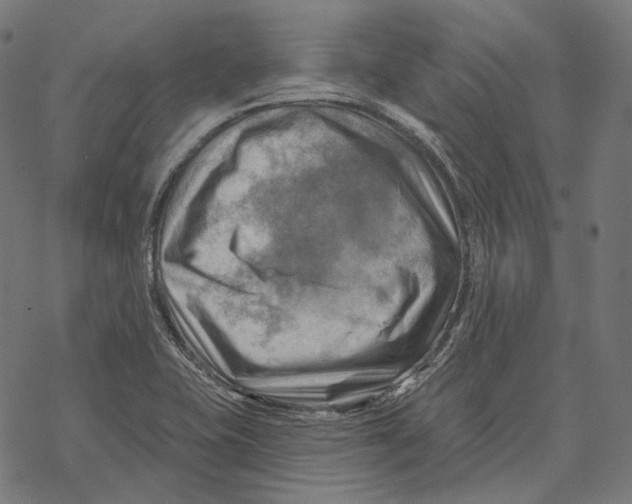 X0000068821415200605261539