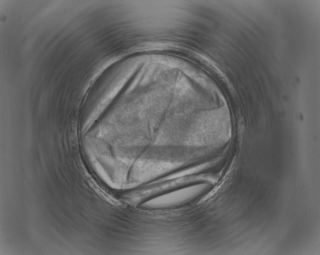X0000068821417200605261539