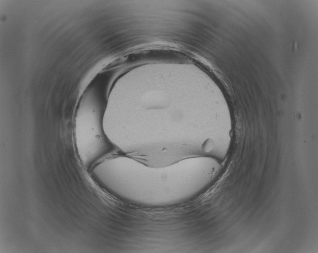 X0000068821418200605261539