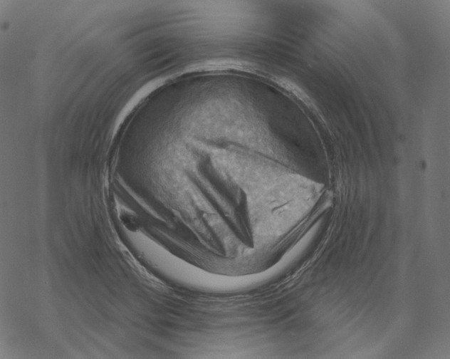 X0000068821420200605261539