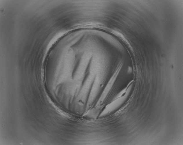 X0000068821424200605261539
