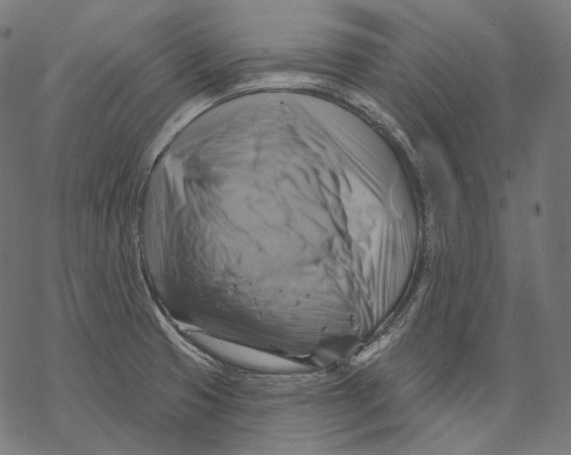 X0000068821425200605261539
