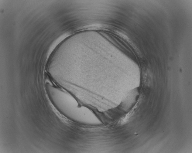 X0000068821426200605261539