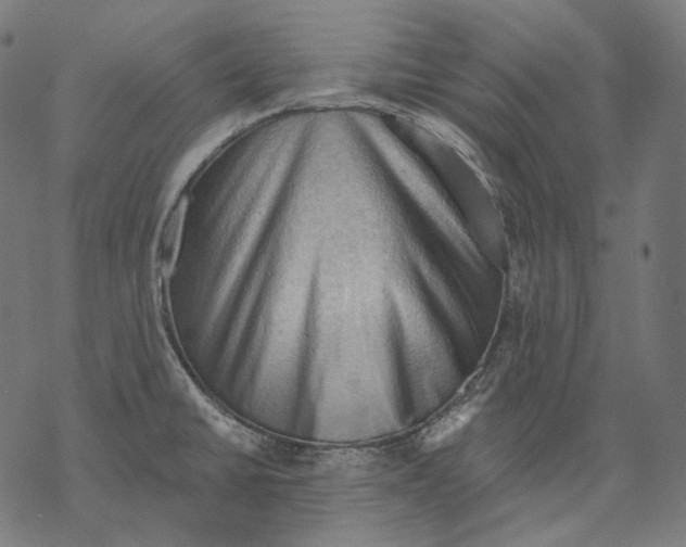 X0000068821430200605261539