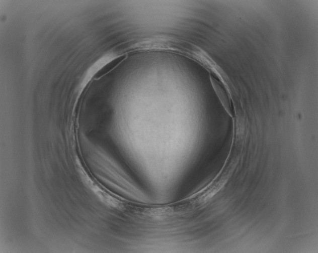 X0000068821434200605261539