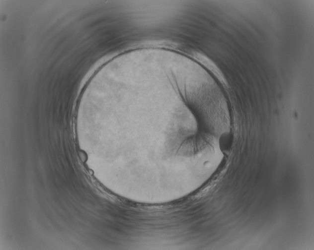 X0000068821436200605261539