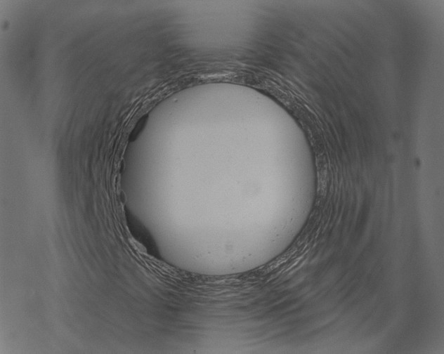 X0000068821441200605261539