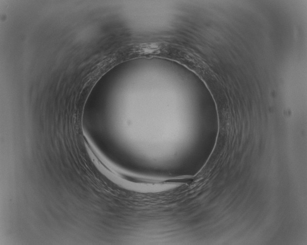 X0000068821442200605261539