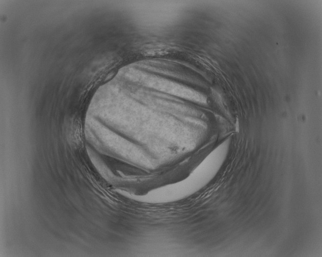 X0000068821444200605261539