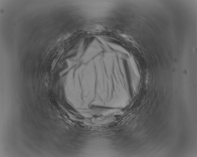 X0000068821445200605261539