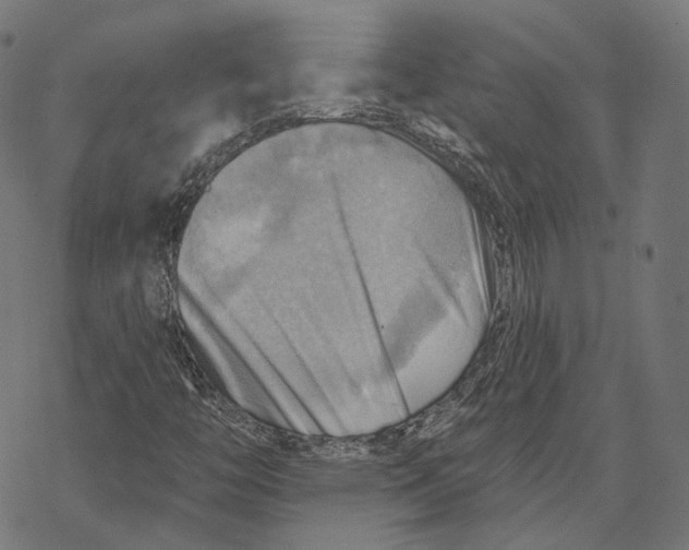 X0000068821446200605261539