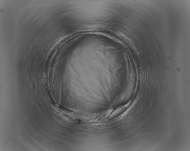X0000068821449200605261539