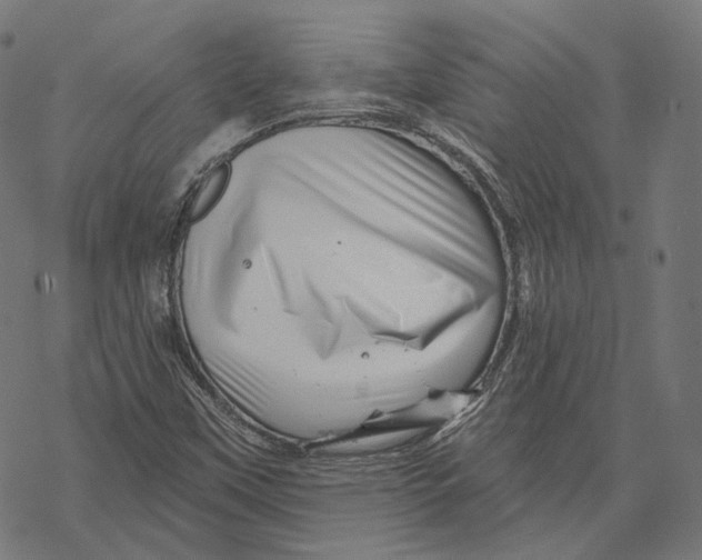 X0000068821451200605261539