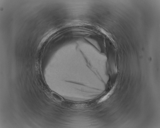 X0000068821453200605261539