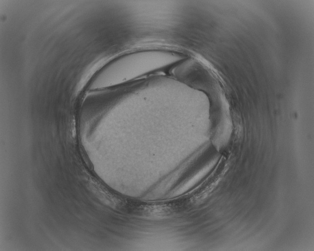 X0000068821461200605261538