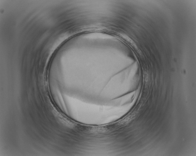X0000068821466200605261538