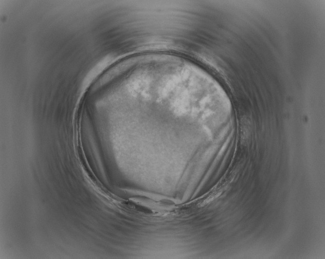 X0000068821467200605261538