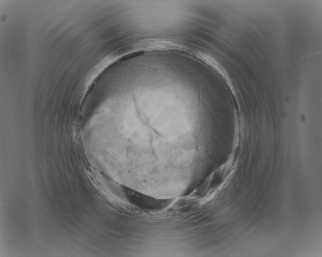 X0000068821481200605261538