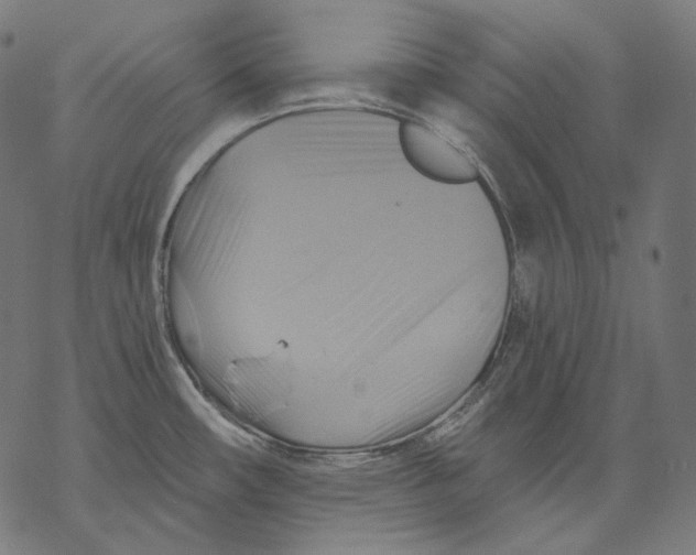 X0000068821482200605261538