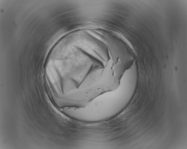 X0000068821484200605261538