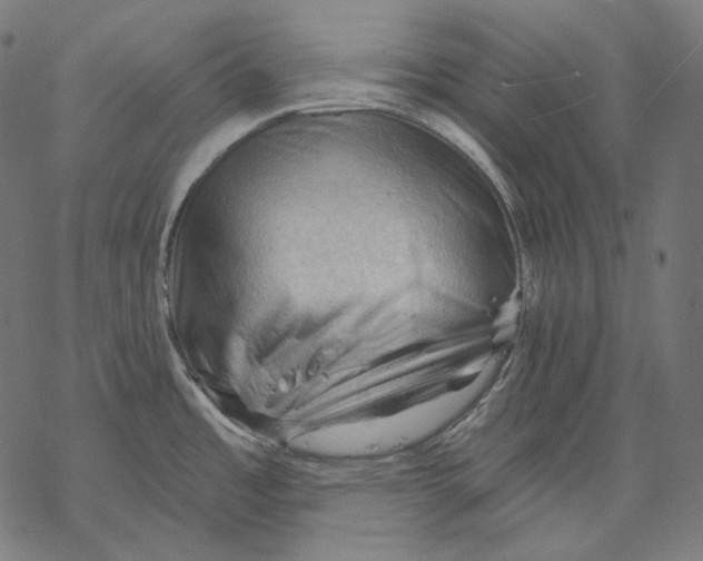 X0000068821485200605261538