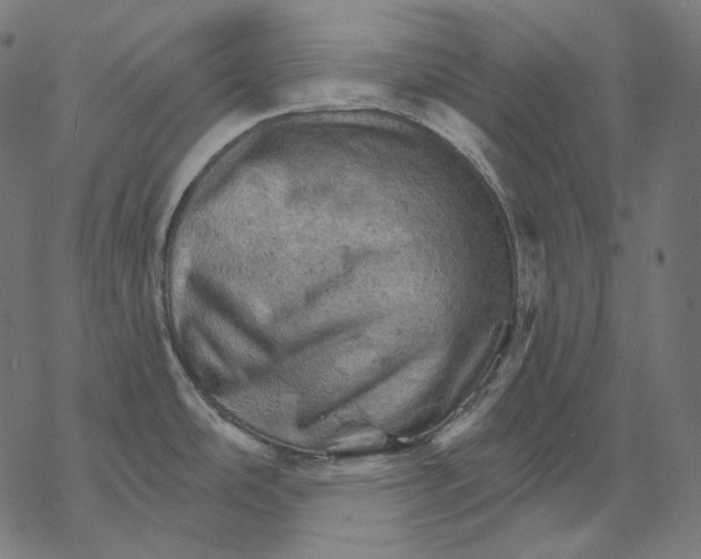 X0000068821486200605261538