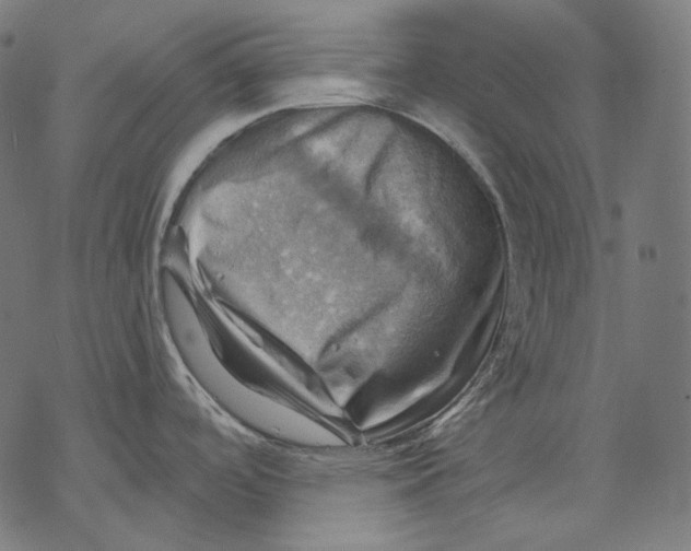X0000068821488200605261538