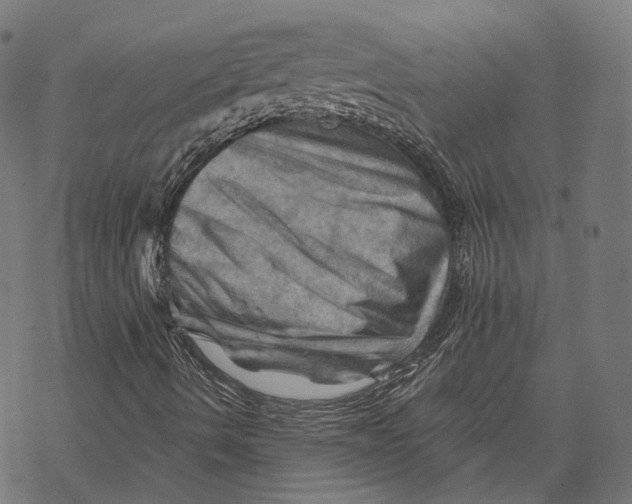 X0000068821490200605261537