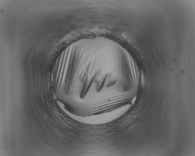 X0000068821492200605261537