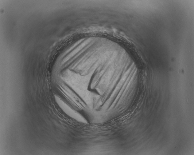 X0000068821493200605261537