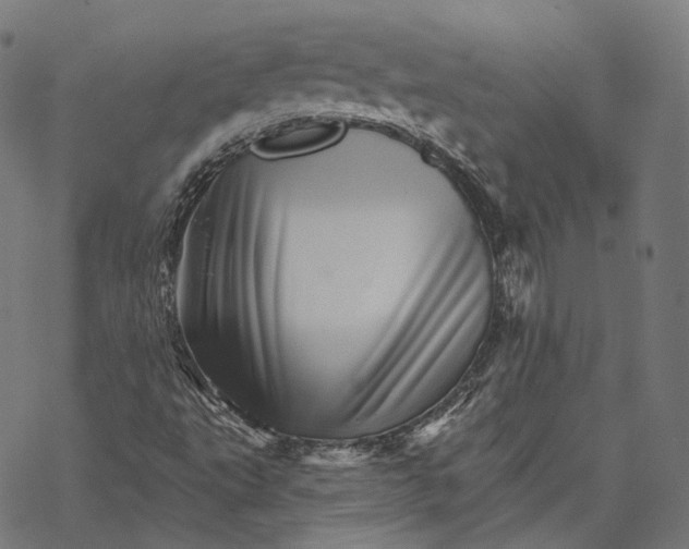 X0000068821495200605261537