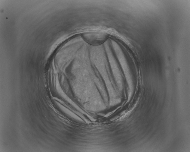 X0000068821501200605261537