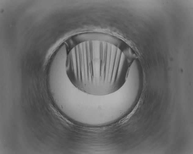 X0000068821502200605261537
