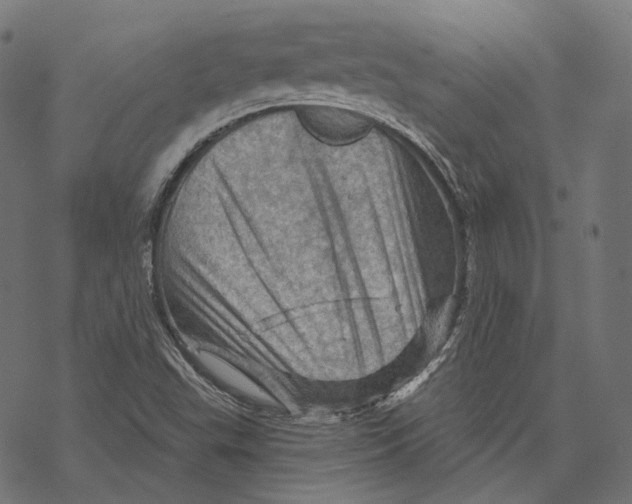 X0000068821503200605261537