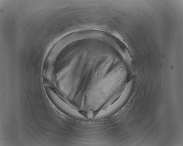 X0000068821508200605261537