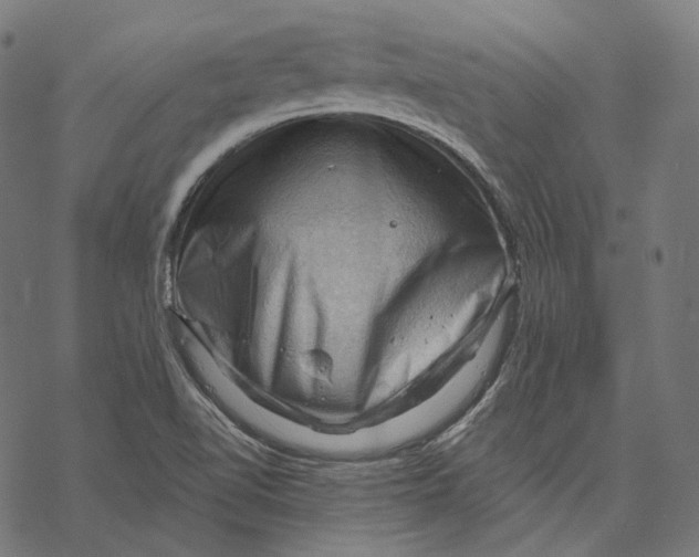 X0000068821510200605261537