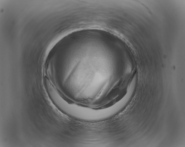 X0000068821520200605261538