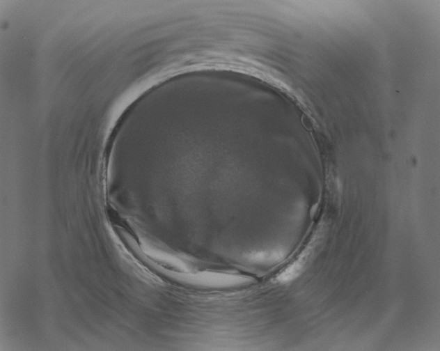 X0000068821522200605261538