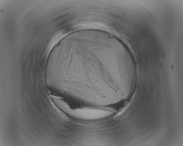 X0000068821529200605261538