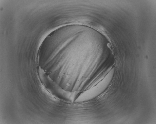 X0000068821532200605261538