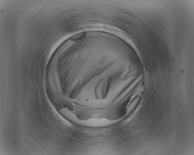 X0000068821533200605261538