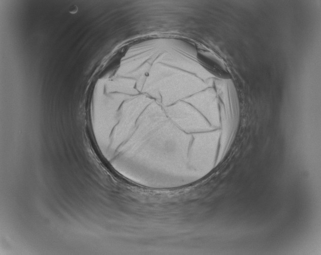 X0000068820002200606021629