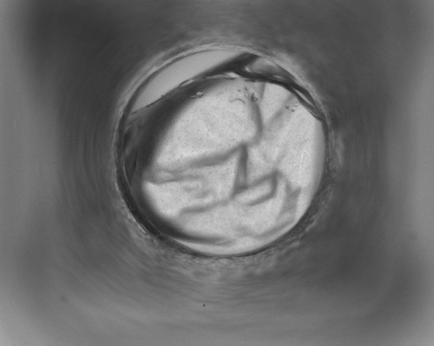 X0000068820007200606021629