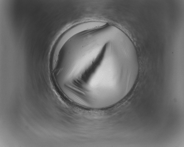 X0000068820008200606021629
