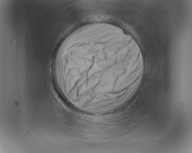 X0000068820010200606021629