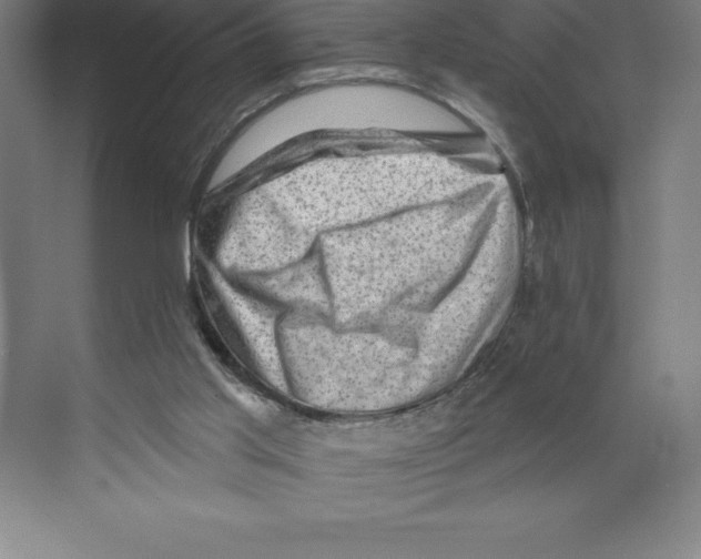 X0000068820013200606021629