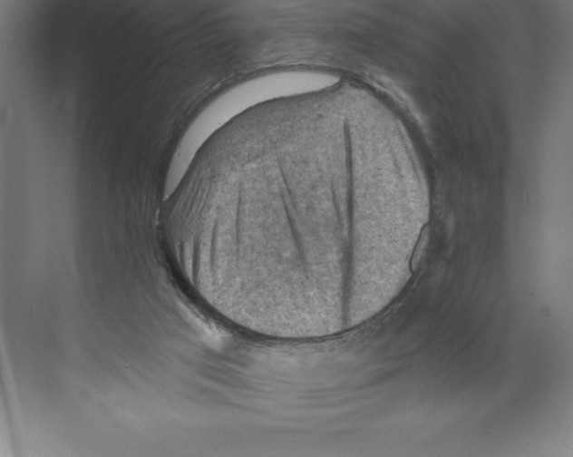 X0000068820017200606021629