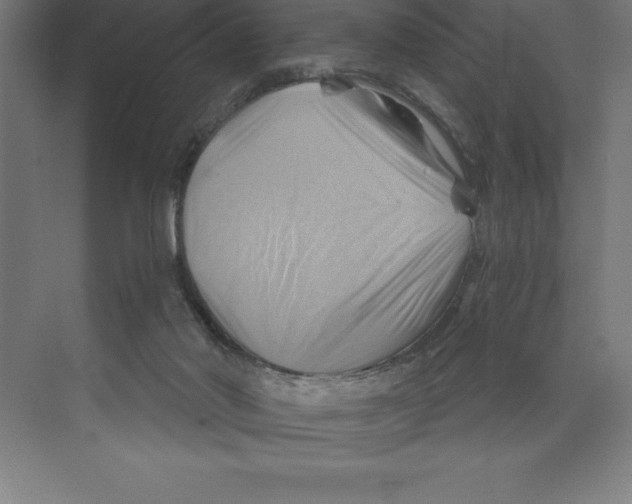 X0000068820022200606021629